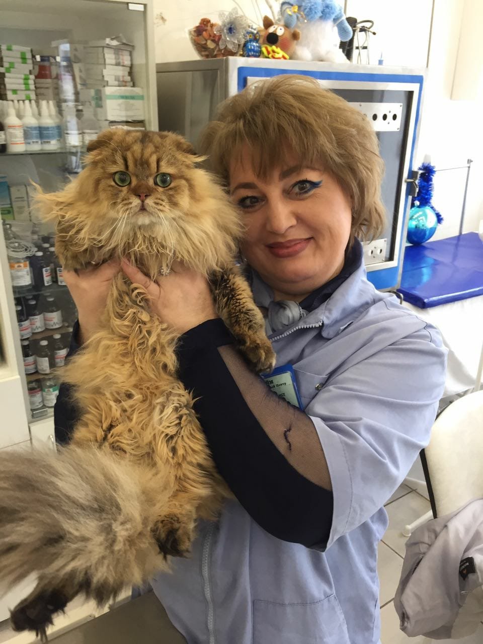 Елена Юрьевна Миронова