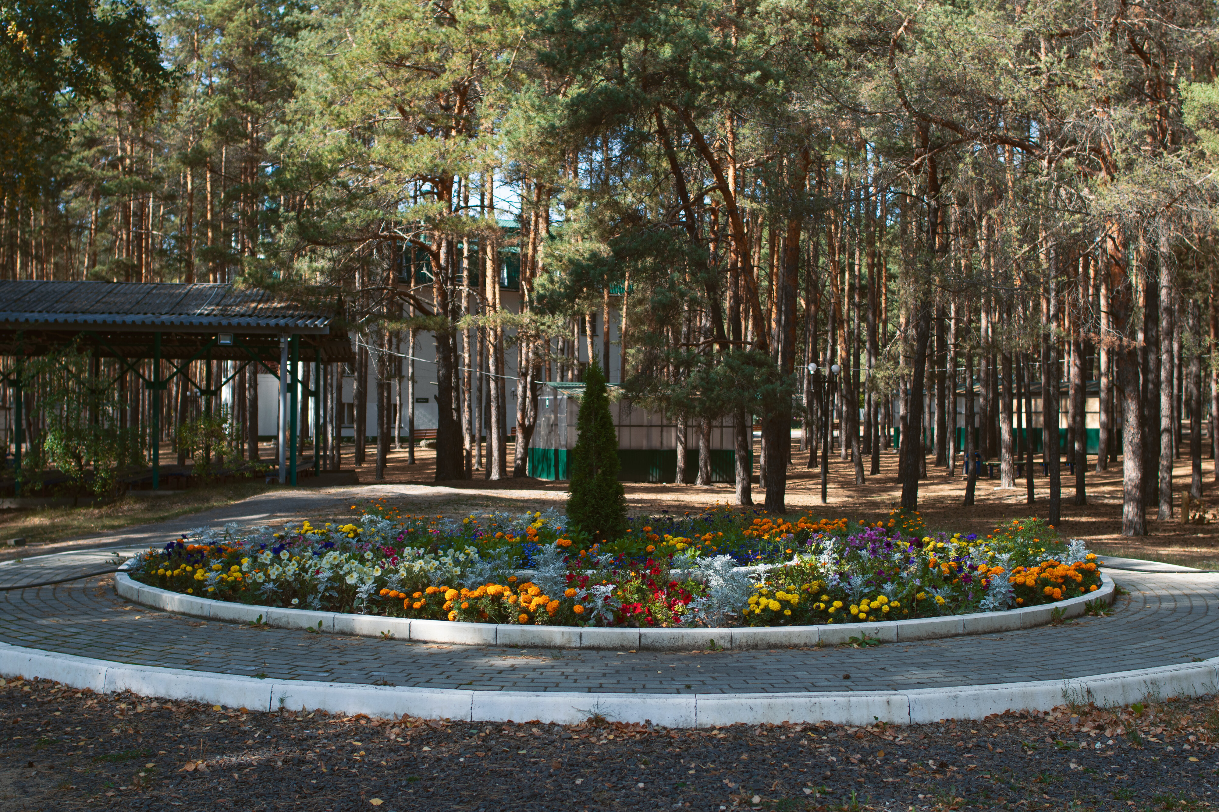 Все заведения на улице Солянка - телефоны, фотографии, отзывы - Курск -  Zoon.ru