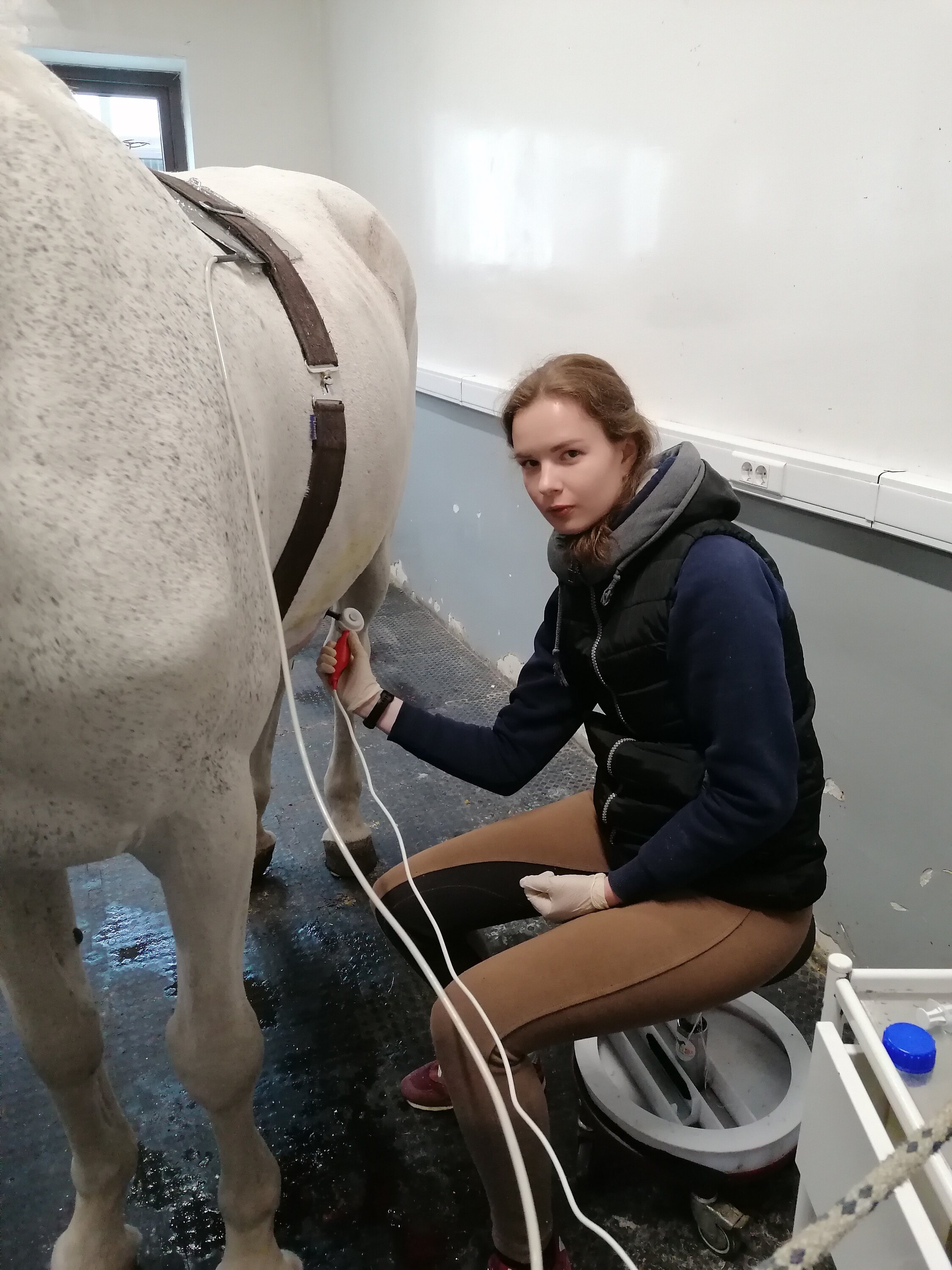 Дарья Александровна Булавина