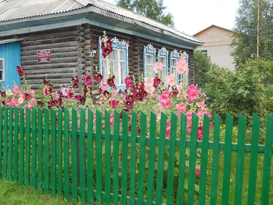 Фото сельсовета. Новотырышкино Колыванский.