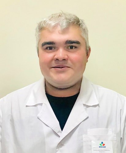 Дмитрий Андреевич Занегин