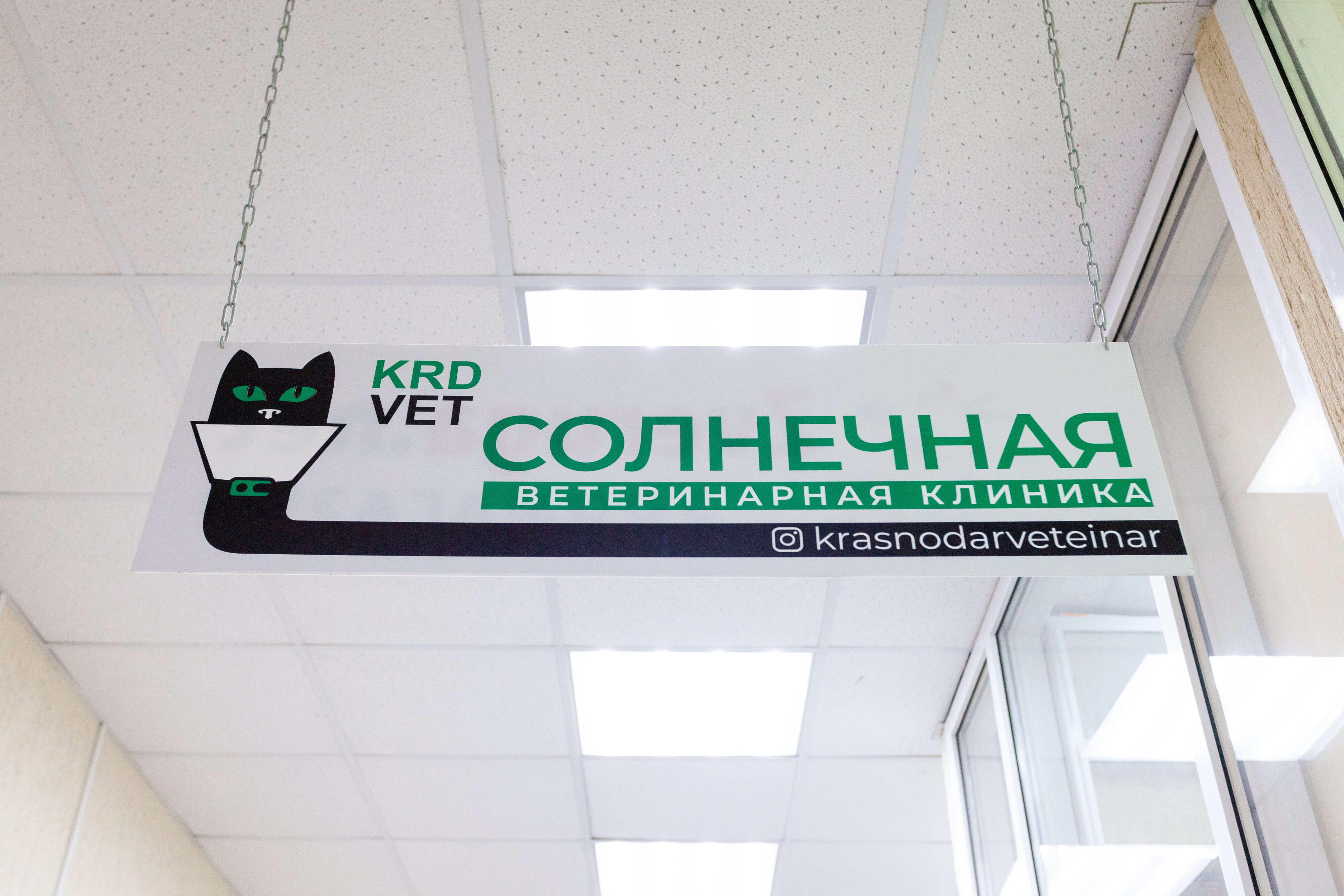 Лучшие ветеринарные клиники Краснодара рядом со мной на карте – рейтинг,  цены, фото, телефоны, адреса, отзывы – Zoon.ru