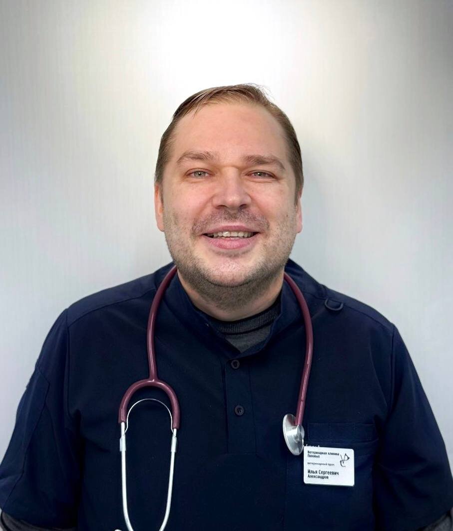 Илья Сергеевич Александров