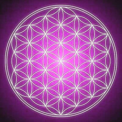 Светлана Тришина