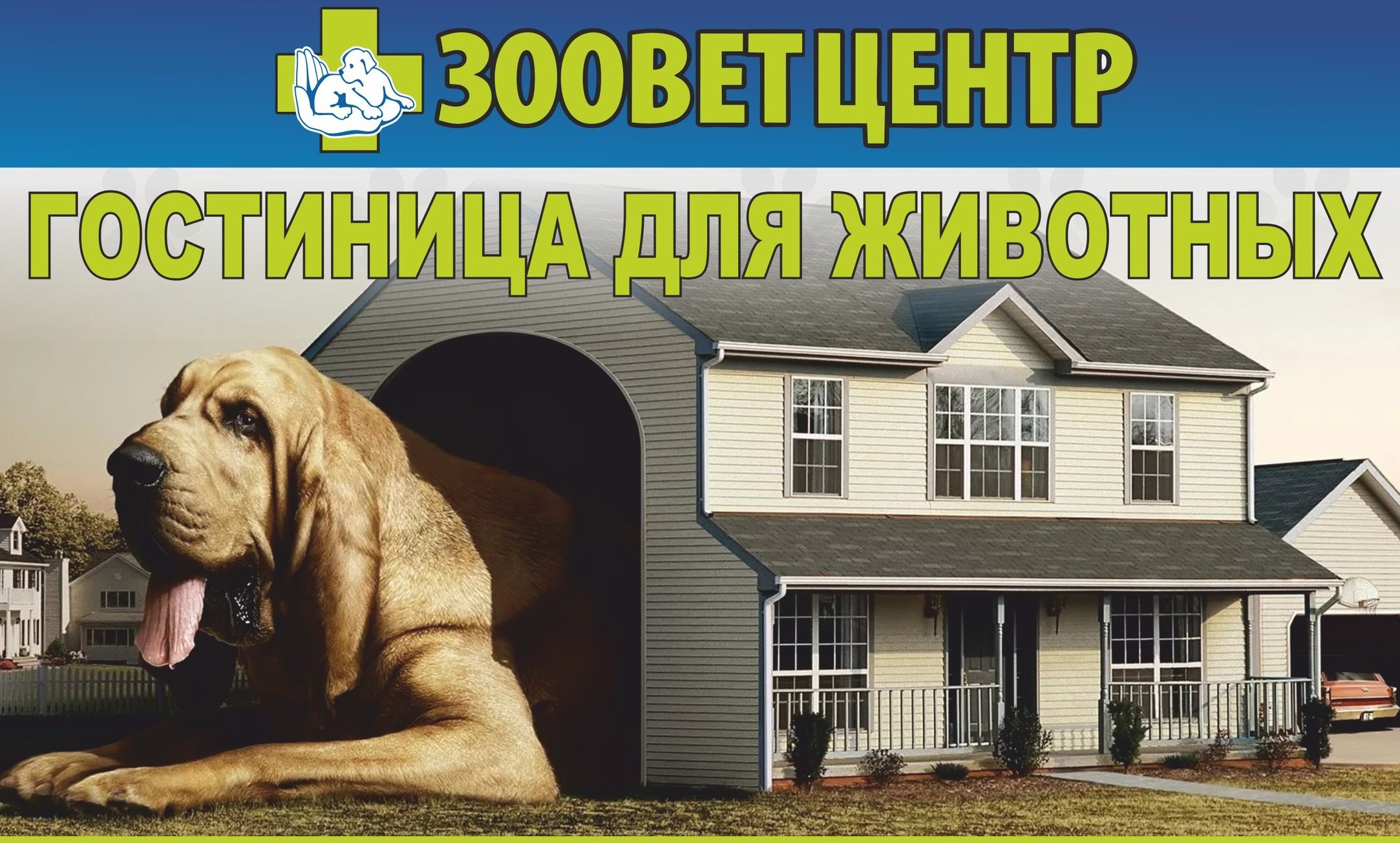 Зоогостиницы в Перми: цена от 300 руб., 41 ветеринарная клиника, 128  отзывов, фото, рейтинг отелей для питомцев – Zoon.ru