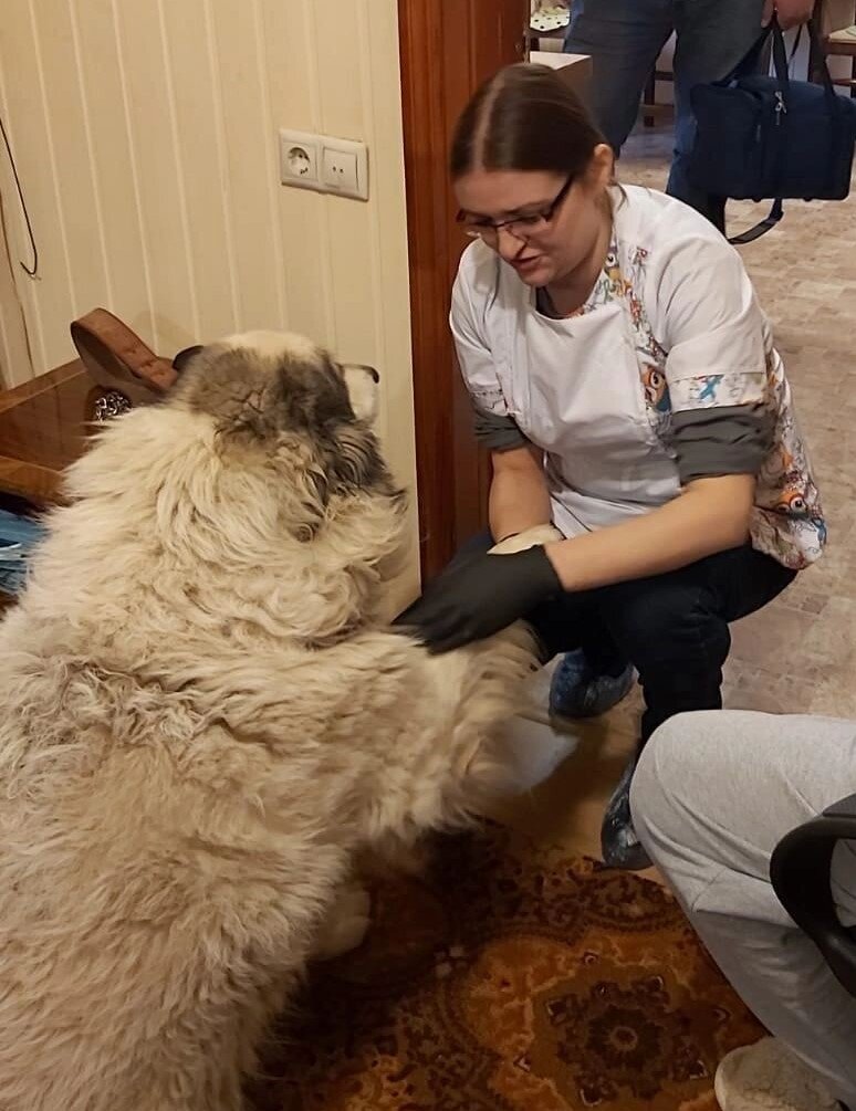 Ольга Сергеевна Коршунова