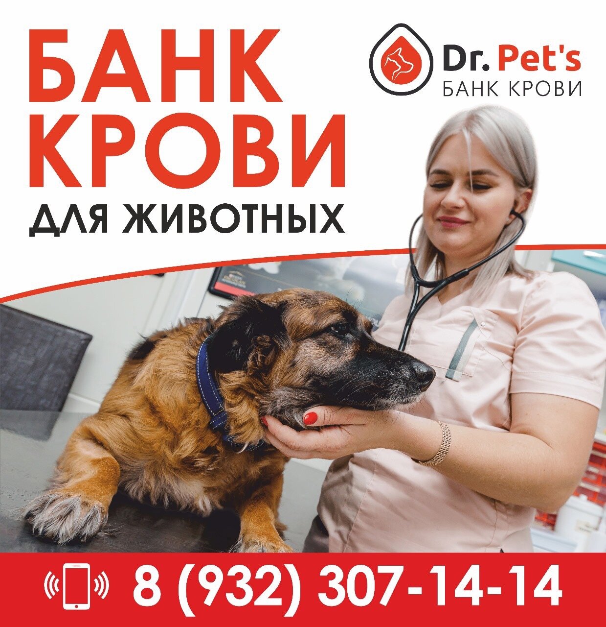Круглосуточные ветеринарные клиники Челябинска с адресами, телефонами,  отзывами и фото – Zoon.ru