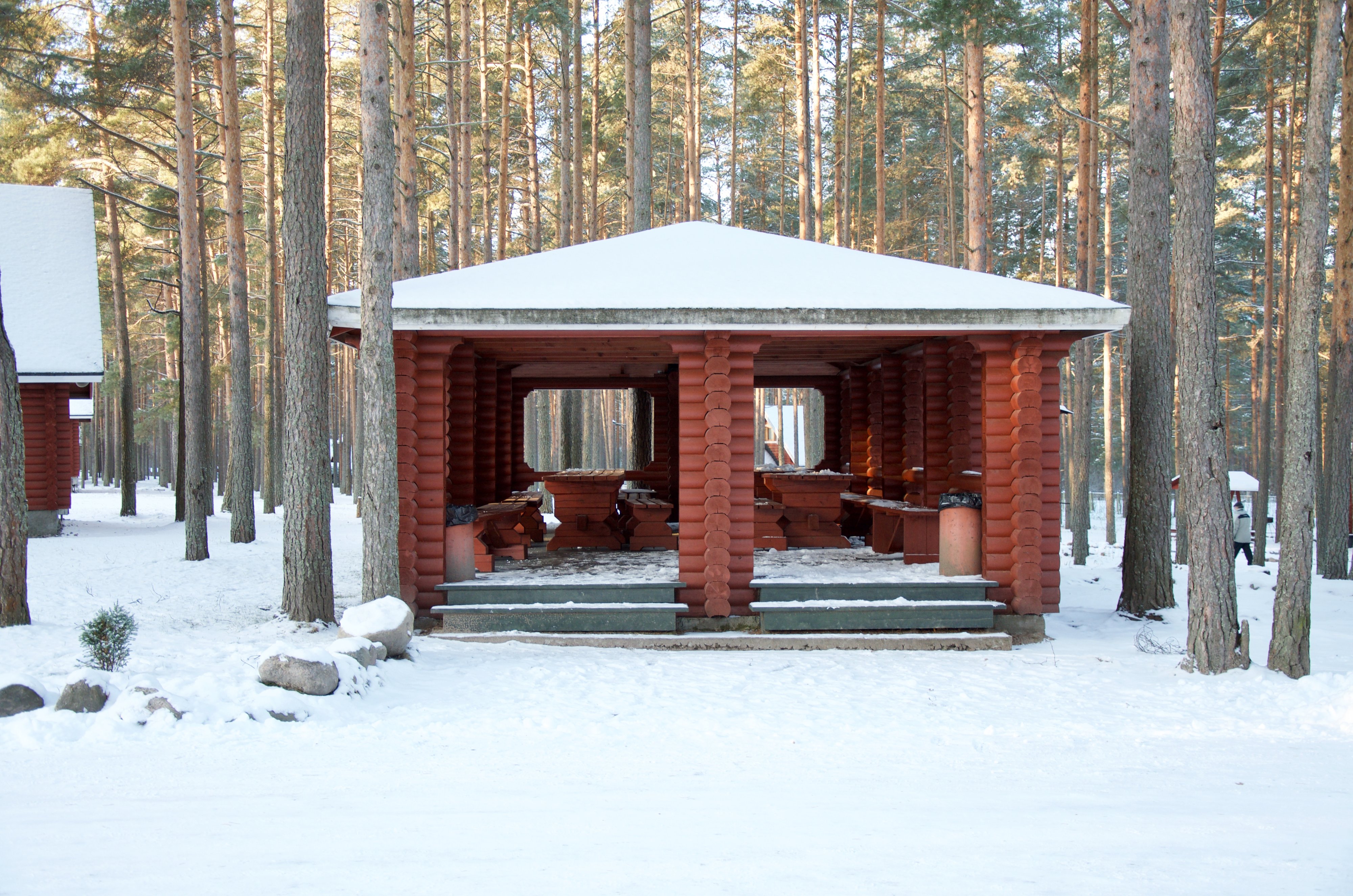 Лучшие 🏡 дома отдыха Ленинградской области на Приозерском шоссе, рейтинг  домов отдыха и отзывы посетителей - Zoon.ru