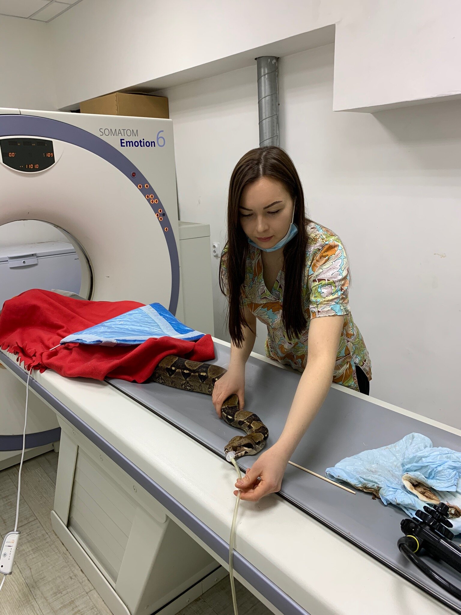 первый ветеринарный центр бирюлево восточное. марина владимировна ветеринар кострома. ветврач казань. ветеринарный врач людмила. алена николаевна казань ветеринар.