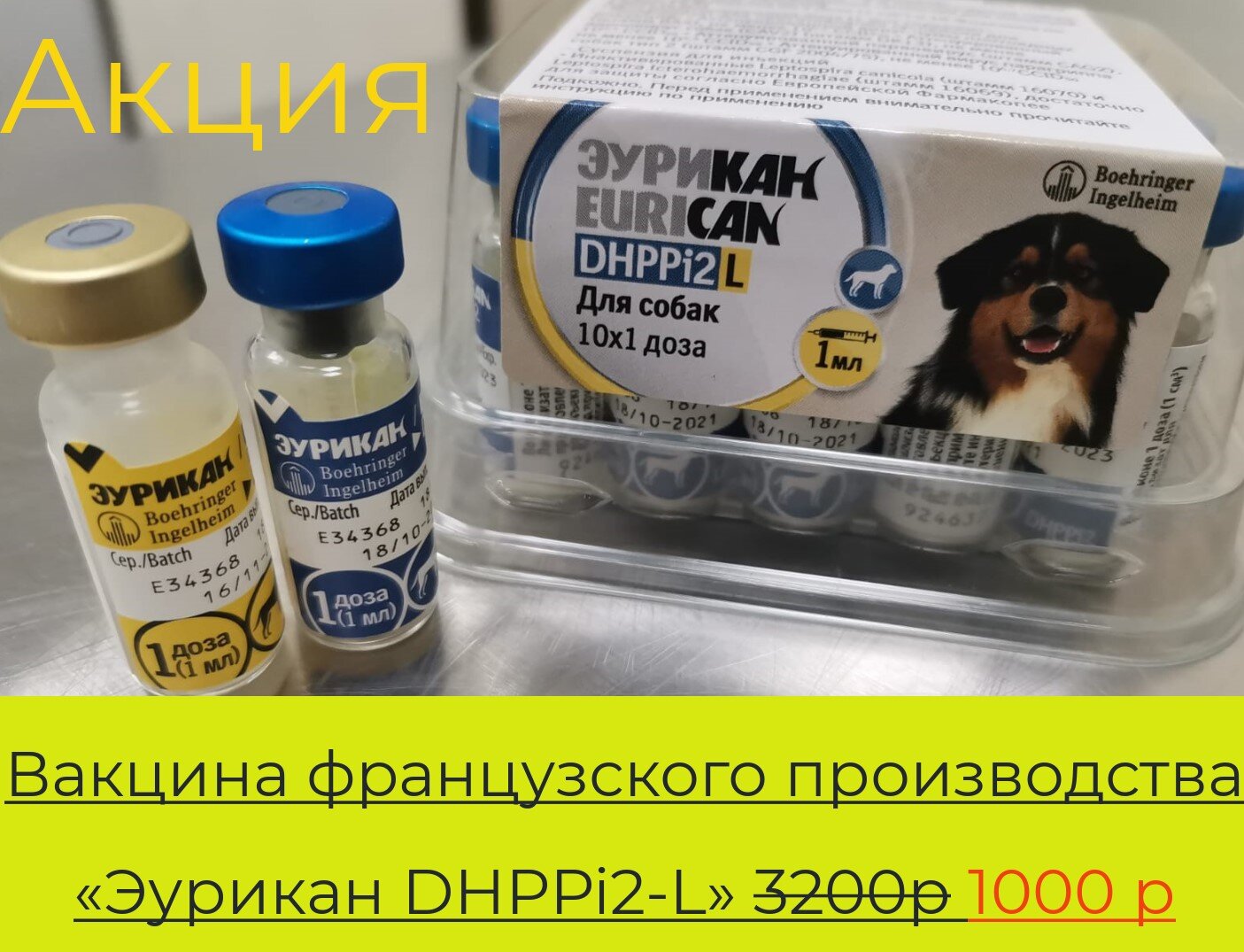 Вакцина эурикан для собак купить в москве