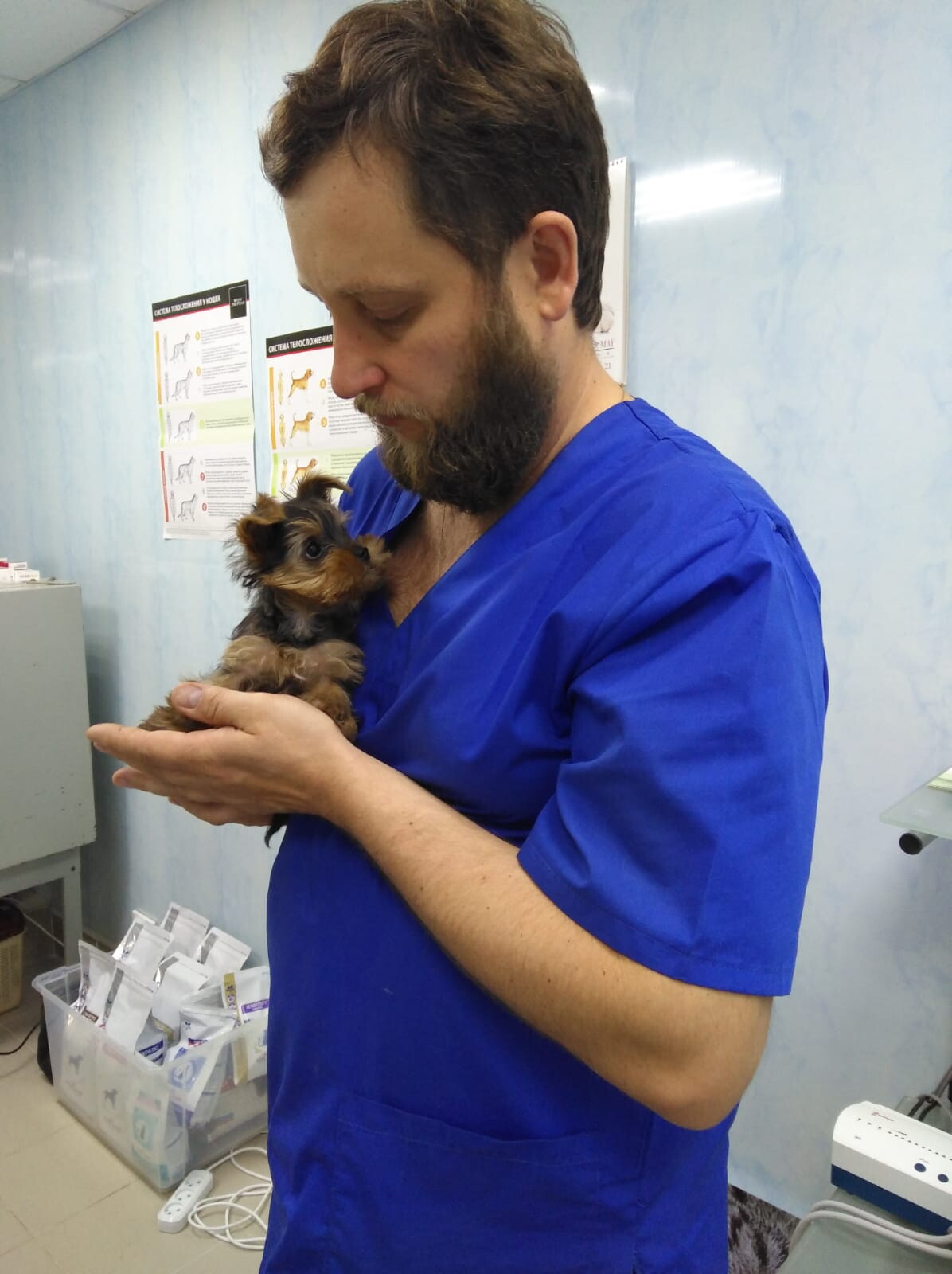 Дмитрий Анатольевич Шапошников