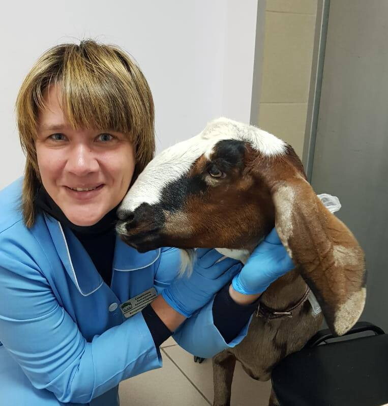 Екатерина Александровна Самойлова