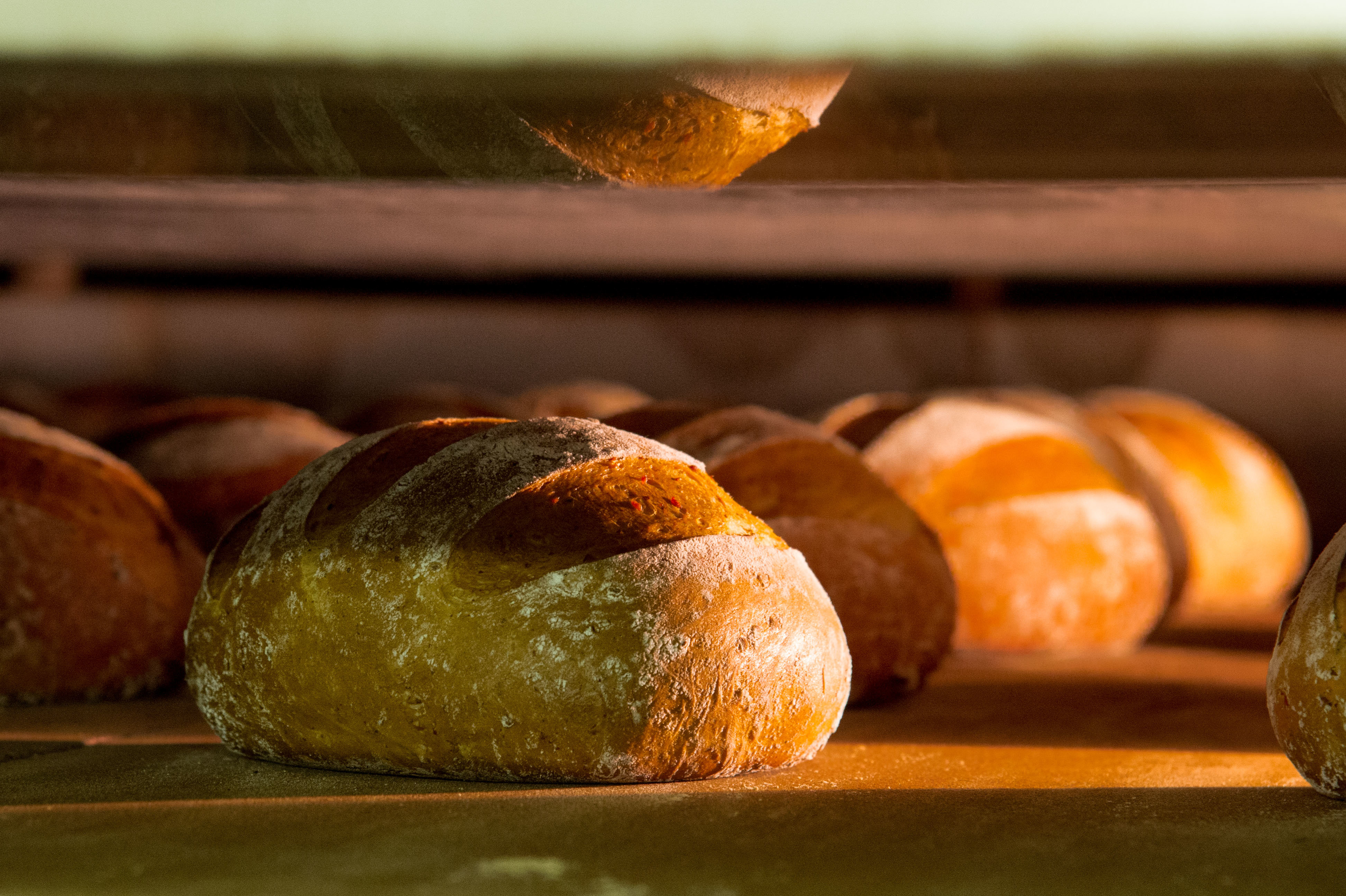 Bread moscow. Пекарня. Выпечка хлеба. Хлеб из пекарни. Хлеб насущный хлеб.