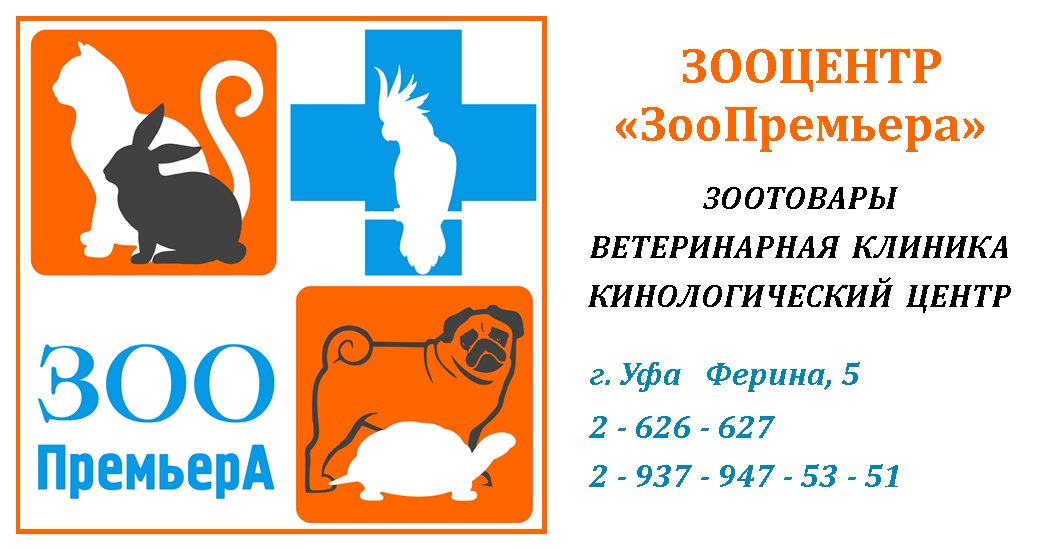 Ветклиника уфа. Ферина 5 ветеринарная клиника. Ветклиника Уфа адреса. Ветеринарная клиника Уфа Черниковка. Ветеринарная клиника Содружество, Уфа.