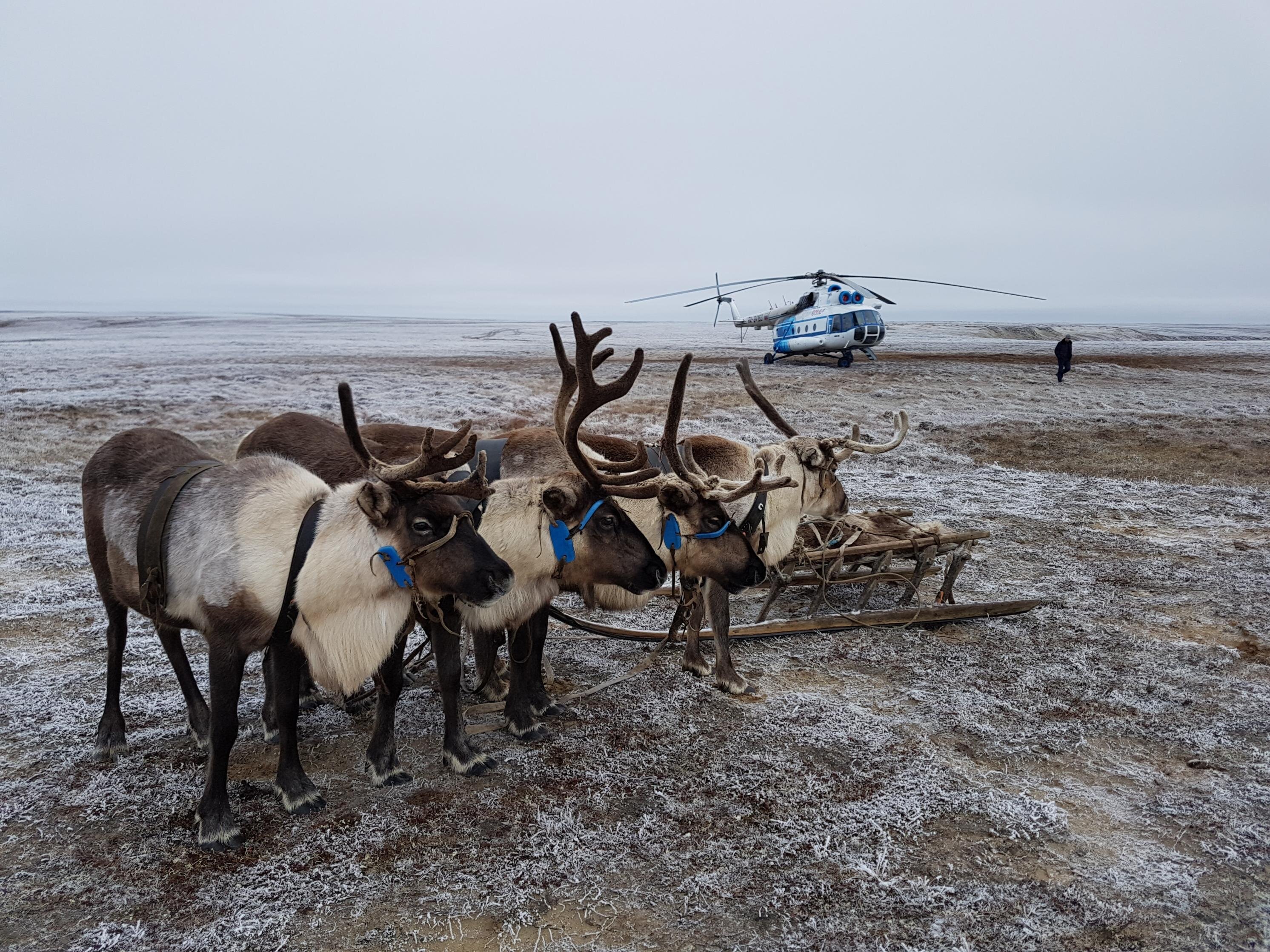 Авиакассы в Салехарде: адреса и телефоны, 26 заведений, 37 отзывов, фото и  рейтинг касс авиабилетов – Zoon