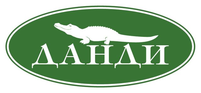 Обувь данди каталог женская