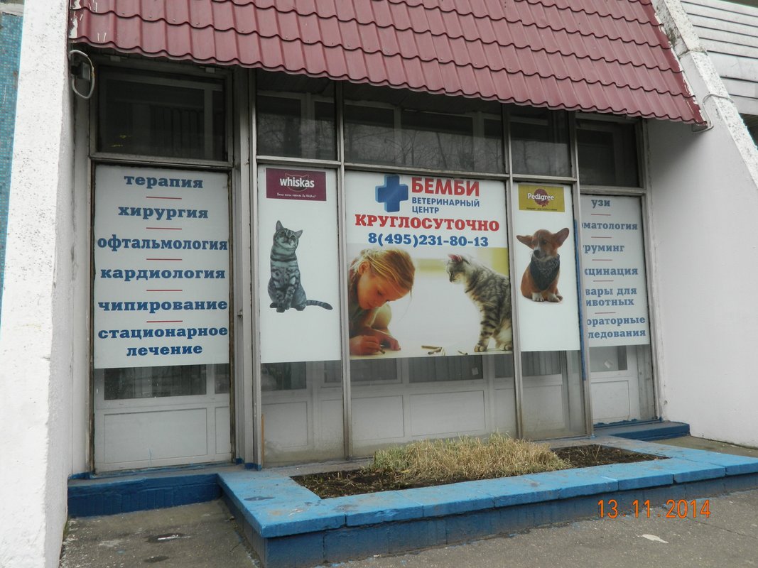 Бемби ясенево. Ветеринарная клиника Ясенево. Бэмби ветклиника Екатеринбург. Ветеринарная клиника Бемби.