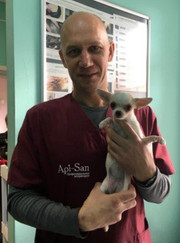 Ветеринарный ортопед, ветеринар Юрий Александрович Вязьмин