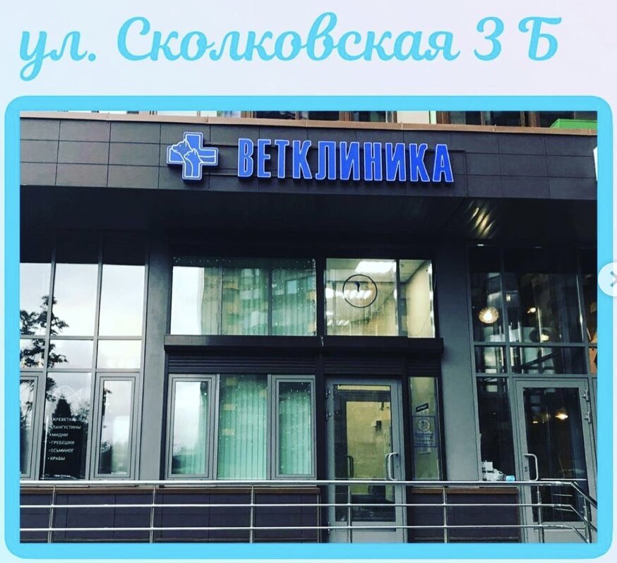 Одинцово Ветклиники