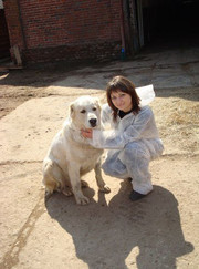 Главный ветеринарный врач, ветеринарный ортопед Ирина Калябина