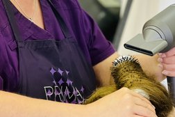 Салон красоты Карнавал, с рейтингом 3 - находится по адресу Калининград, Интернациональная улица, 57а 