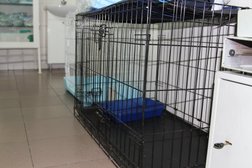 Ветеринарная клиника Доктор А-вет, с рейтингом 2.9 - находится по адресу Тюмень, Московский тракт, 133 
