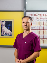 Ветеринарный рентгенолог, ветеринарный стоматолог Сергей Юрьевич Красильников