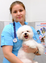 Ветеринар, ветеринарный анестезиолог-реаниматолог Инна Николаевна Тютикова