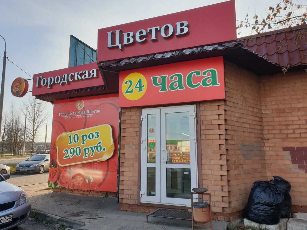 Городская база. Городская база цветов Щелково Пролетарский. Городская база цветов Щелково Богородский. Цветочная база Щелково. База цветов Щелковское шоссе.