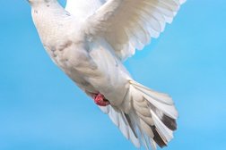 Орфей, с рейтингом 3 - находится по адресу Белгородская область, пос. Дубовое, Донецкая улица, 23 