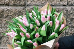 Магазин цветов Флориана, с рейтингом 5 - находится по адресу Санкт-Петербург, улица Фёдора Абрамова, 8 