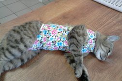 Ветеринарный кабинет Зоовет, с рейтингом 3.9 - находится по адресу Кемеровская область — Кузбасс, Новокузнецк, Новобайдаевская улица, 7Б 