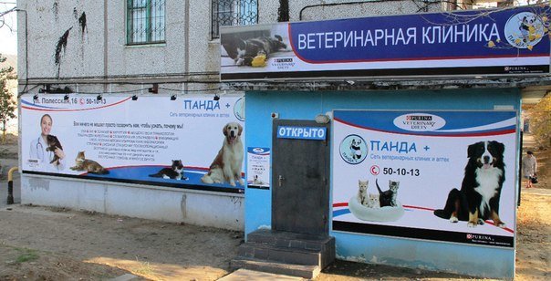 Часы работы ветеринарной клиники. Панда ветеринарная клиника Волгоград Жилгородок. Ветеринарная клиника Панда Волгоград Дзержинский район. Клиника Панда плюс Волгоград. Хользунова 6 Волгоград ветеринарная клиника.