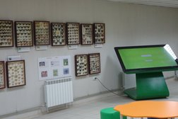 Музей Дом бабочек, с рейтингом 5 - находится по адресу Ставропольский край, Кисловодск, 357748, проспект Победы, 53А 