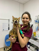 Морозова Анастасия Владимировна