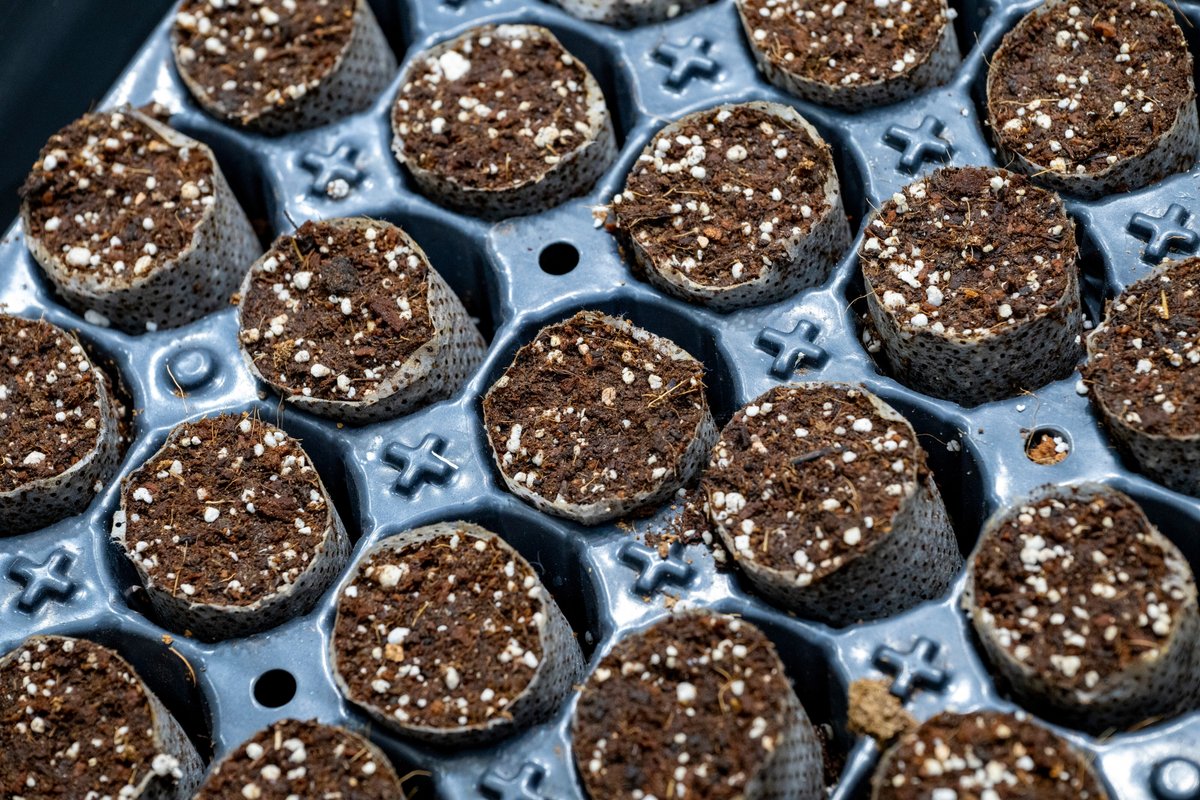 Контейнер для рассады