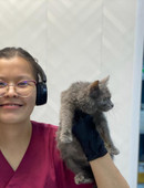 Байрамова Марзия Фархадовна