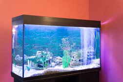 Сауна Ночной бриз, с рейтингом 3 - находится по адресу Республика Татарстан, Казань, улица Голубятникова, 28 