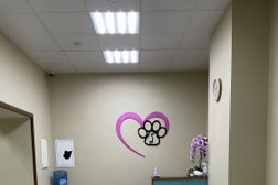 Ветеринарная клиника ВетЗоо, с рейтингом 2.5 - находится по адресу Московская область, Мытищи, улица Веры Волошиной, 46 