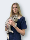 Сарапова Дарина Александровна