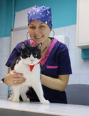 Парамонова Елизавета Кирилловна