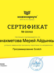 Преподаватель по информатике Мерей Жанахметова