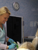 Сафонова Анастасия Сергеевна