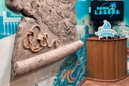 Сауна Лагуна, с рейтингом 3.8 - находится по адресу Ставрополь, проспект Кулакова, 8Б 