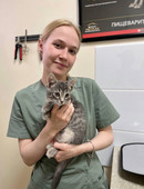 Дресвянина Дарья Александровна