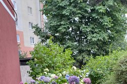 Комплекс Даурия, с рейтингом 3.2 - находится по адресу Калининградская область, пос. Малое Исаково, Пушкинская улица, 36 