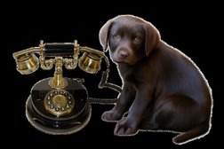 Строительно-дизайнерская компания РемонтСити, с рейтингом 5 - находится по адресу Республика Татарстан, Казань, Салиха Сайдашева, 12 