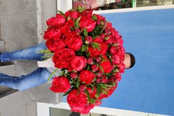 Салон-магазин цветов Блюмен, с рейтингом 4.5 - находится по адресу Екатеринбург, улица Декабристов, 31 