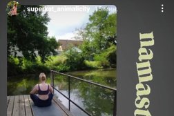 Студия фитнеса, йоги и растяжки Art fitness, с рейтингом 2 - находится по адресу Краснодар, Кияшко, 10 