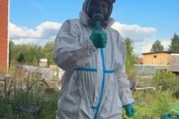 Компания ДезПрофи, с рейтингом 4.8 - находится по адресу Свердловская область, пос. Большой Исток, Колхозная улица, 23 